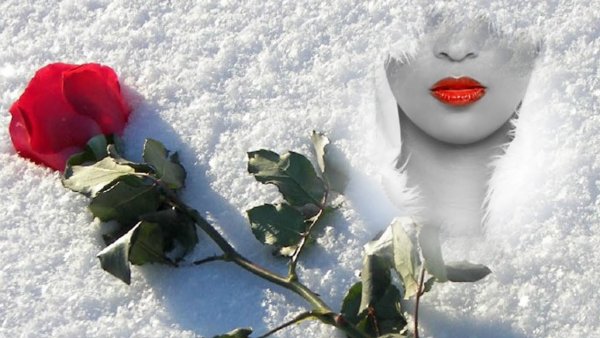 Цветы для женщины зимой