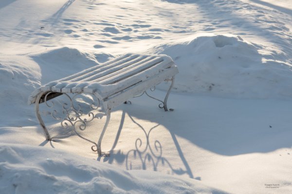 Скамейка в саду зимой