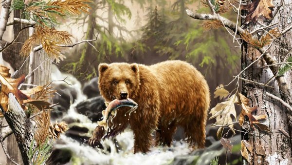 Медведь на фоне леса