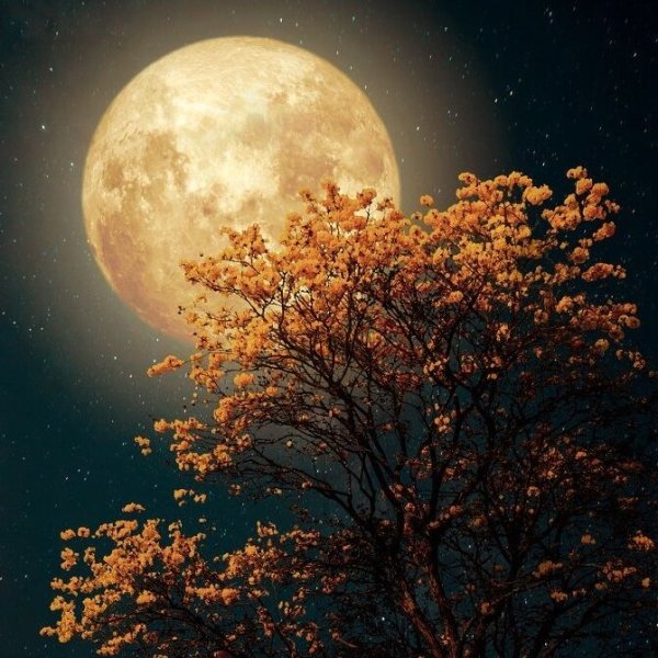 Красивая Золотая Луна