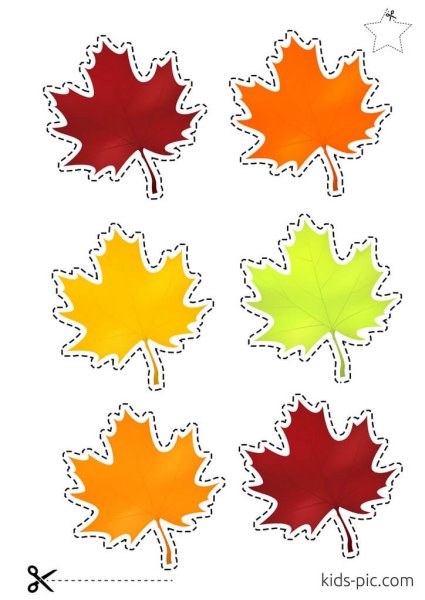 Листья клена для вырезания