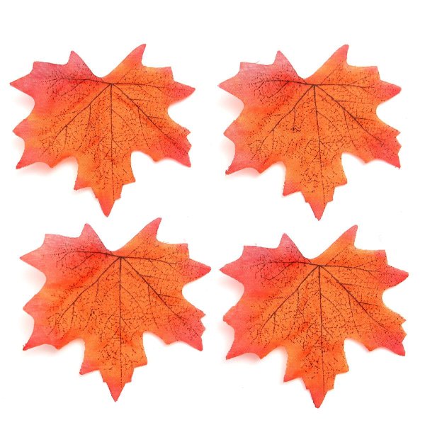 Кленовый лист цветной