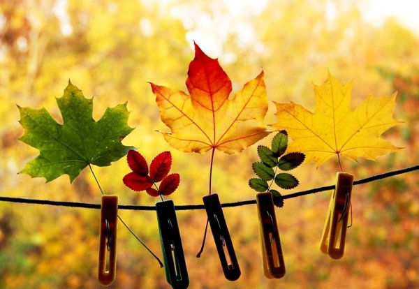 Осенний позитив