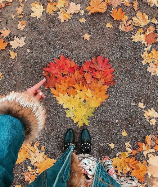 Осенью должны падать листья