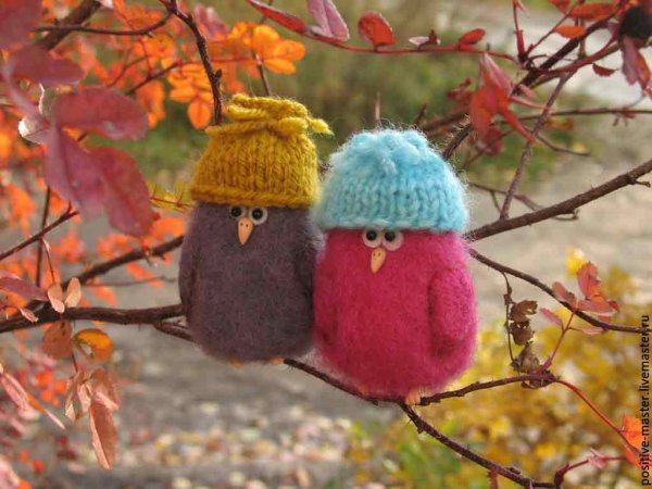 Птичка в шапке
