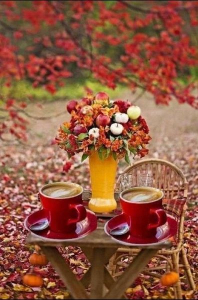 Осенний сад