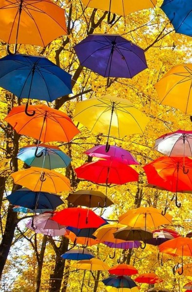 Зонтики яркие