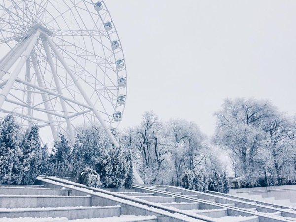 Ростов на Дону зима парк