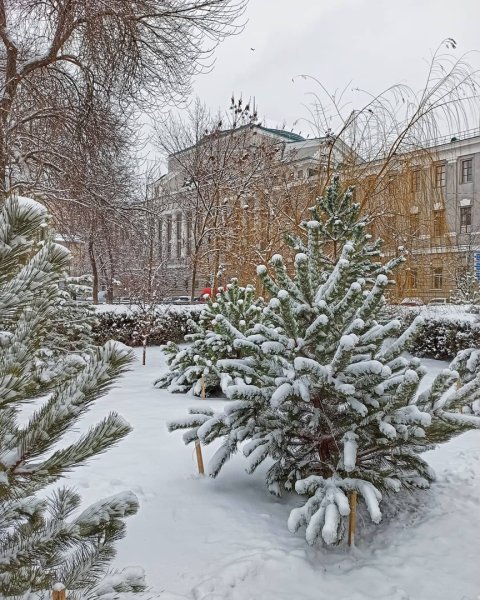 Зима в Ростове на Дону 2021