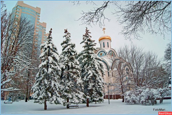 Покровский сквер Ростов-на-Дону зимой