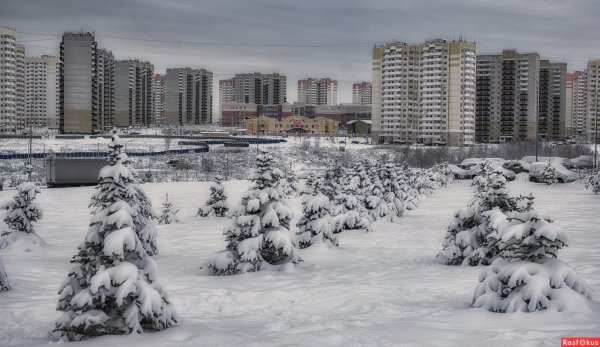 Суворовский в снегу