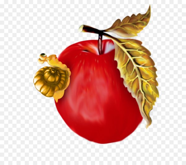 Яблоки осенние на белом фоне