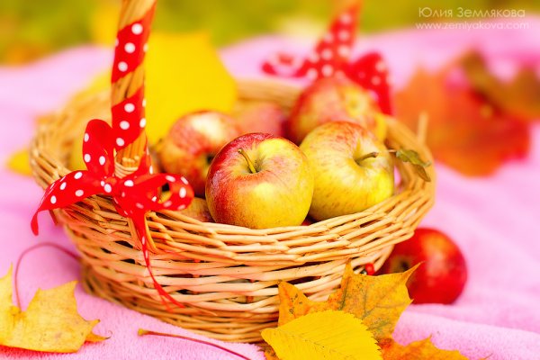 Осенняя корзина с яблоками