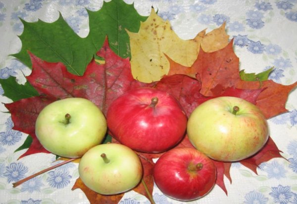 «Яблоки и листья» и. е. Репина