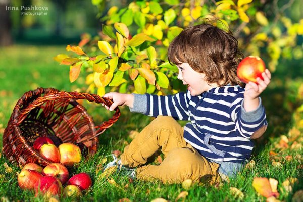 Осенняя фотосессия ребенка с яблоками