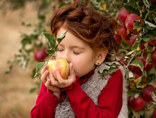 Осенняя фотосессия ребенка с яблоками