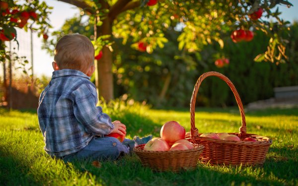 Ребенок с корзиной яблок