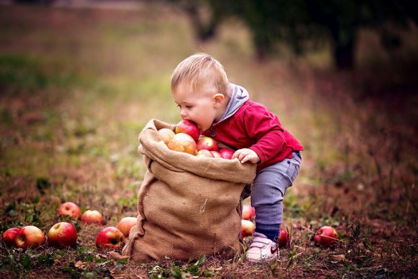 Фотосессия малыша с яблоками