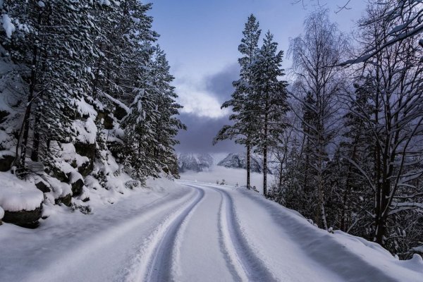 Зимняя дорога