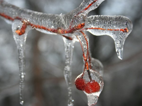 Зима сосульки