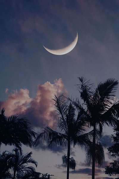 Луна Пальма