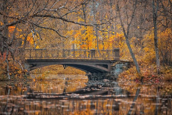 Осенний Петербург