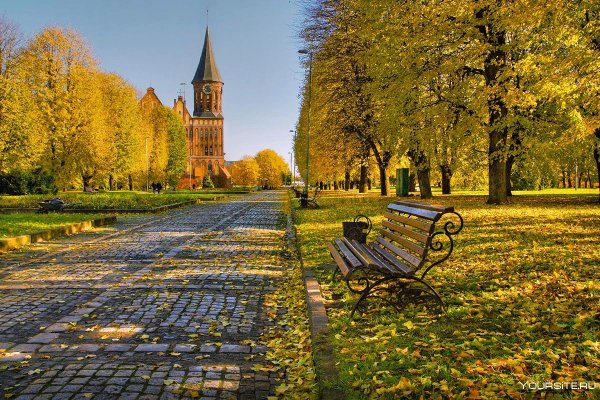 Золотая осень в Калининграде