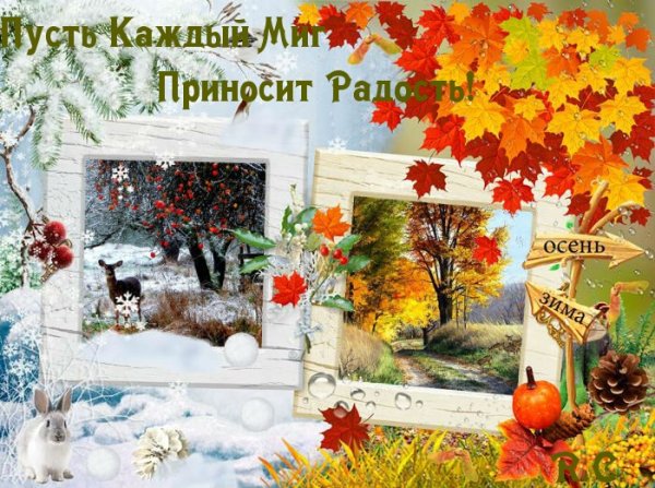 С последним днем осени доброе утро