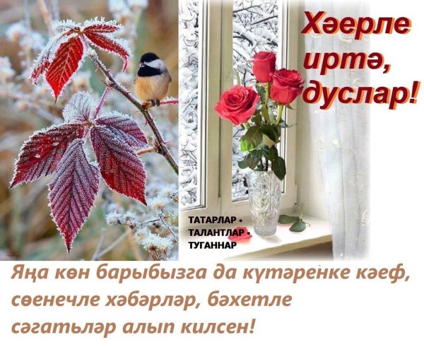 Открытки с добрым утром на татарском
