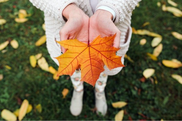 Листик на ладошке