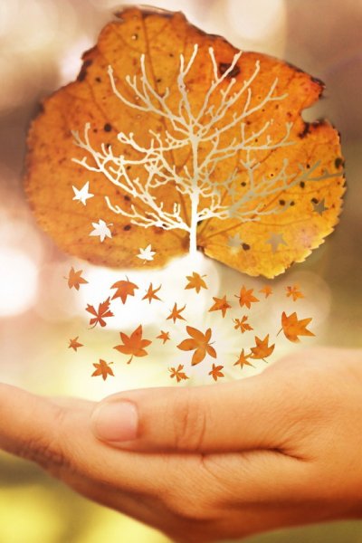 Осенний листок на ладони