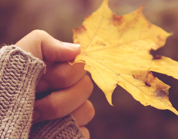 Листик в руке