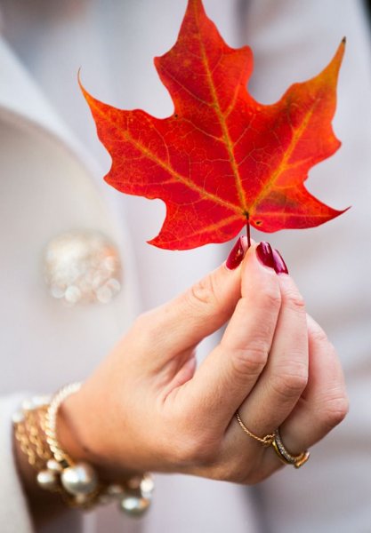 Осенние листья в руках