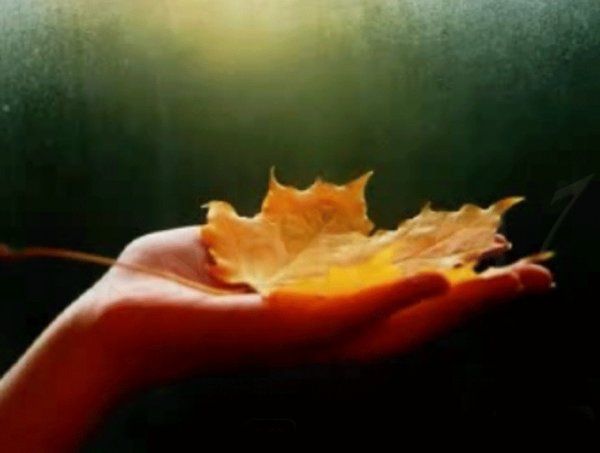 Осенний листок на ладони