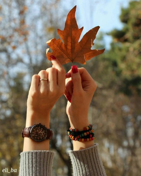 Рука в руке осенью