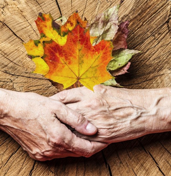 Осень старость