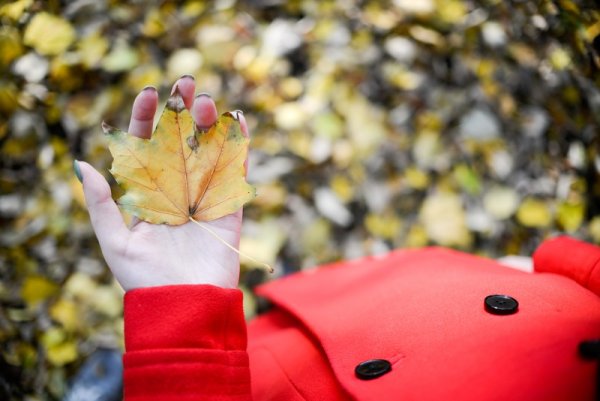 Осенний листок на ладони