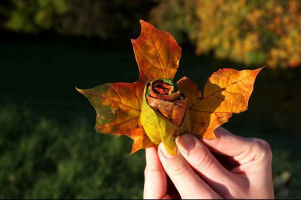 Букет из осенних листьев