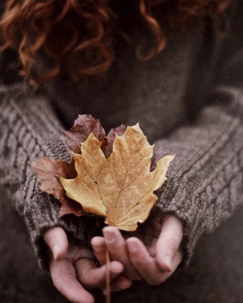 Осенний листок на ладони