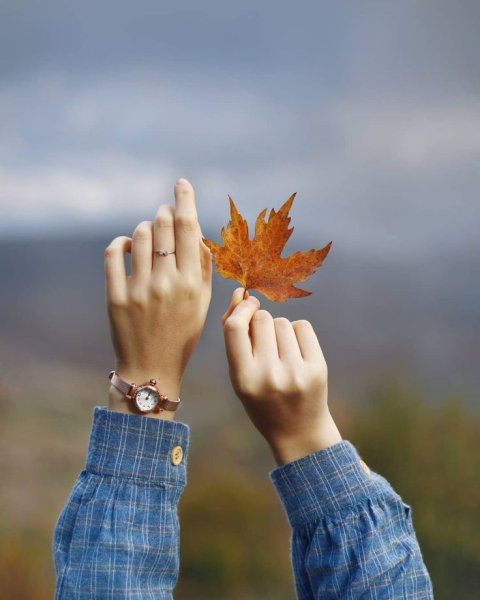 Осень руки