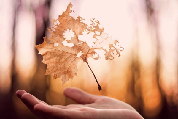 Листик в руке