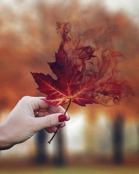 Девушка с листом в руках