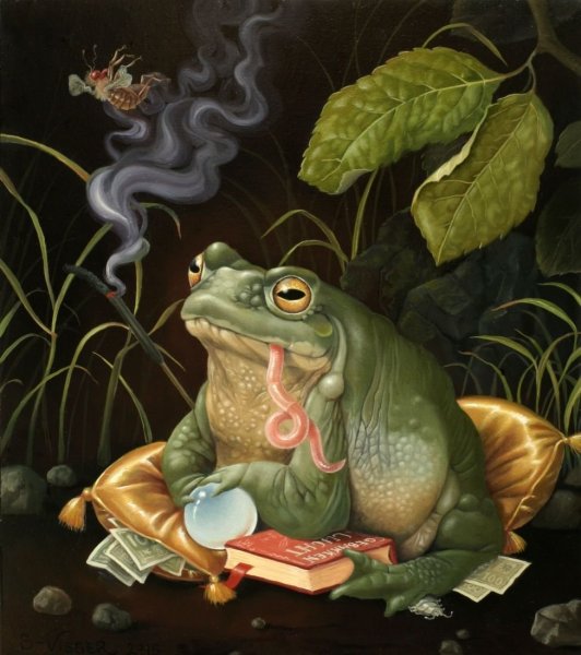 Жабы и лягушки арт