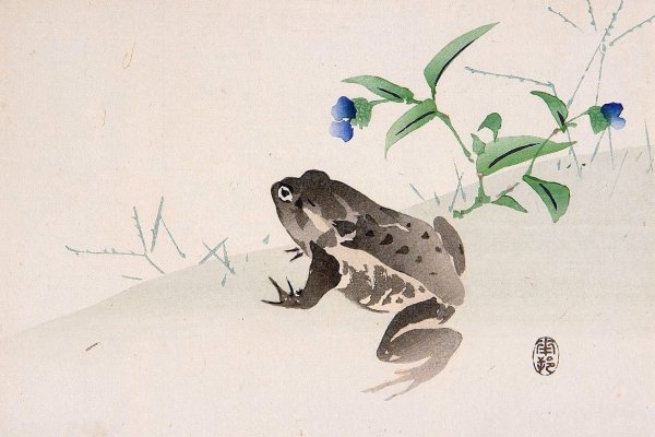 Лягушки в китайской живописи