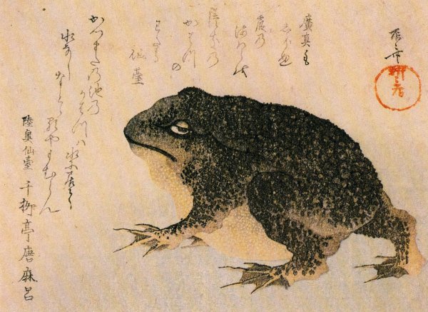 Даосская жаба