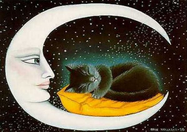 Картина кот и Луна