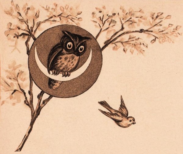 Винтажные открытки с совами