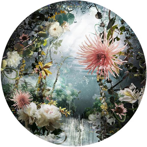 Живопись в круге