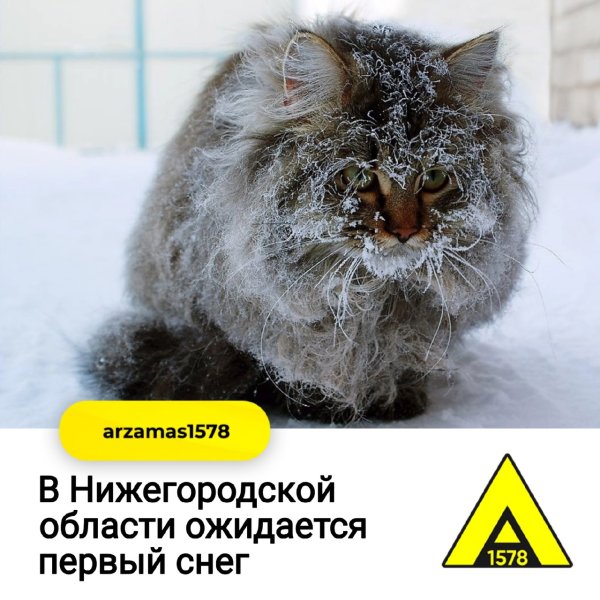 Холодная Весна приколы