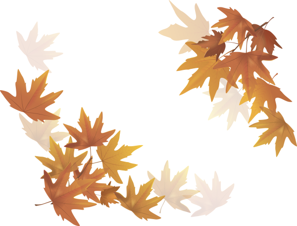 Осенние листья на прозрачном фоне для фотошопа